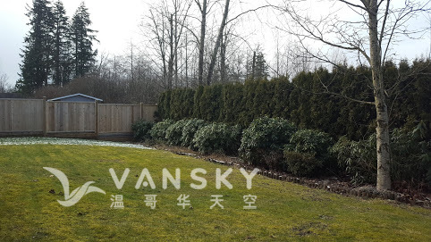 260413233016_surrey backyard.jpg